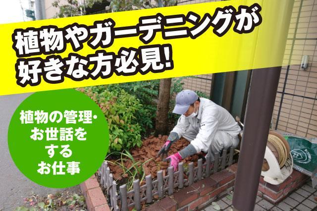 四国ガーデン 株 様の求人情報 庭の手入れ 植物のメンテナンス 未経験スタートok 資格取得支援あり 正社員 愛媛県伊予市上三谷 愛媛のバイト 正社員求人サイト ワークネット 愛媛県の仕事 アルバイト情報