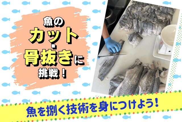 魚のカット・加工 完全裏方 シフト制 柔軟に対応 アルバイト｜(有)丸一鮮魚｜愛媛県松山市岩崎町