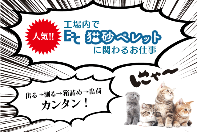 工場内軽作業 箱詰め 出荷伝票貼付け 土日祝休み バイト｜愛媛プレカット(株)｜愛媛県松山市西垣生町