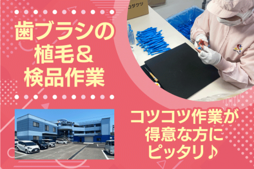 歯ブラシの植毛作業 検品 土日休み 年間休日125日 パート アルバイト｜(株)UFCプロダクツ／四国第1工場｜愛媛県伊予郡砥部町重光