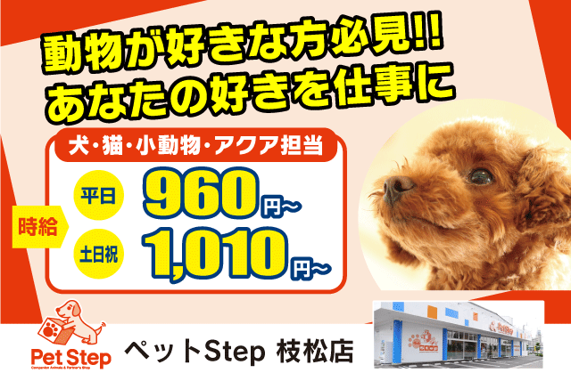 ペットの販売・接客 経験不問 週5日程度 マイカー通勤可 ブランク可 パート｜ペットStep 松山枝松店｜愛媛県松山市枝松