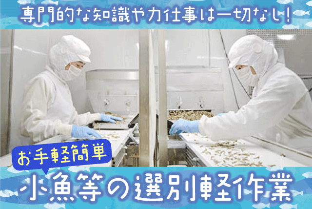 食品工場内作業 小魚等選別 異物除去 専門知識不要 正社員｜佐々木食品(株)｜愛媛県松山市西垣生町