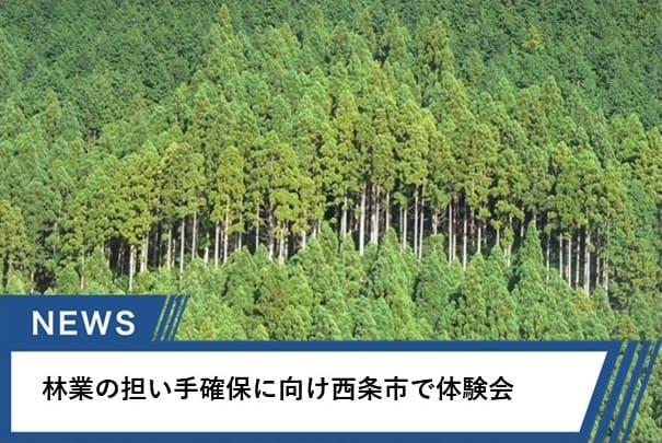 県内に移住を検討している夫婦が参加