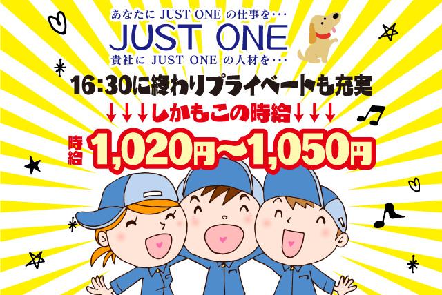 商品仕分けや袋の補修作業 派遣のお仕事 松山市北吉田町 正社員 アルバイト 契約 求人情報 ワークネット 愛媛県松山市