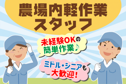 製造スタッフ 年齢・学歴・経験不問 パート｜(株)丸山農場｜愛媛県松山市中野町